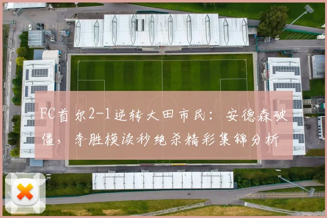 FC首尔2-1逆转大田市民:安德森破僵,李胜模读秒绝杀精彩集锦分析